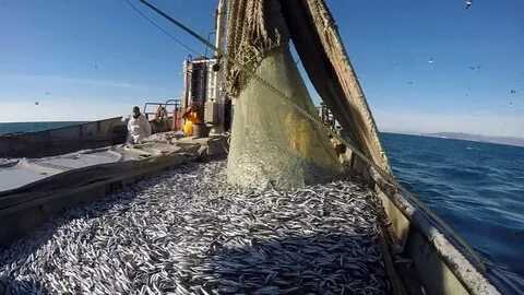 Безопасность при рыбной деятельности в морских глубинах: советы и рекомендации