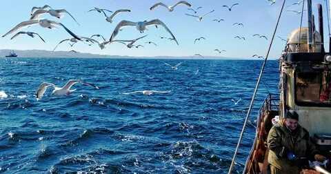 Преимущества ловли рыбы ветром в спокойные дни