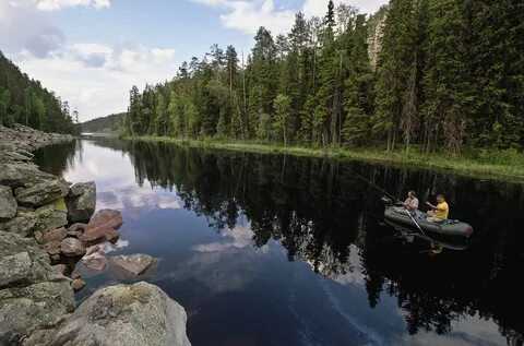 Кулинарные шедевры с морскими дарами