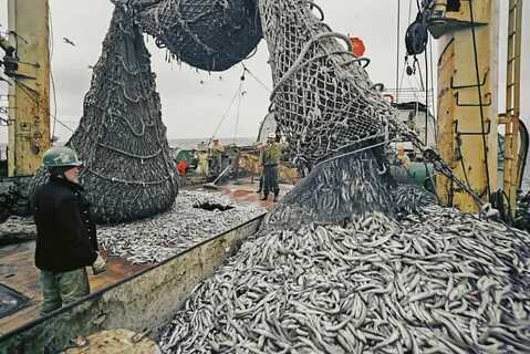 Открытие новых горизонтов: Яхтинг и рыбалка в экзотических водах Азии