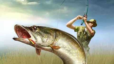 Выбор снаряжения и основные правила рыбной ловли