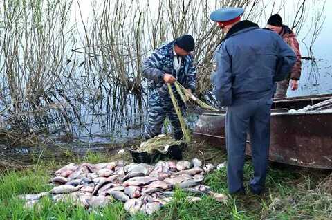 Рекомендации по выбору приманки для успешной ловли окуня в глубоких водоемах